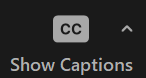show_captions_button